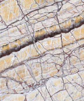 ONICE GIALLO PICASSO